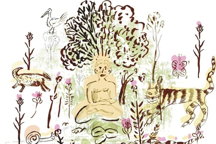 Immagine estratta dalla copertina del volume di Roberto Ferrari, Meditare con gli animali. 8 esercizi di mindfulness nella natura (2025, Laterza)