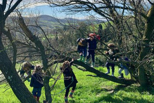Educazione all’aperto, condivisa e accessibile: in arrivo le Linee guida regionali