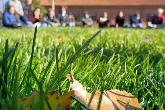 Educazione e natura - competenze per una formazione ecologica e per la sostenibilità